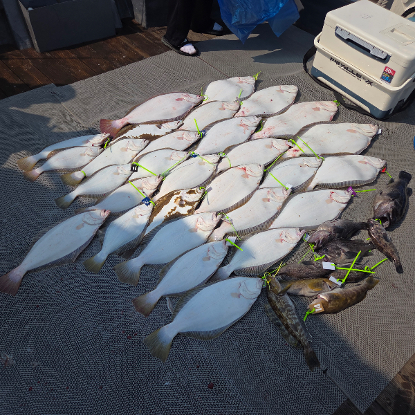 IMG_8878.jpeg