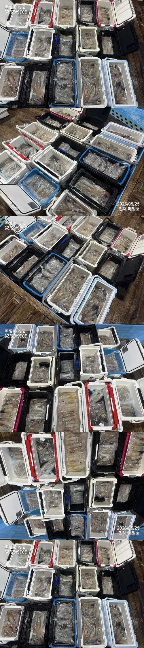 왕한치4.jpg