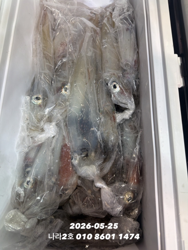 26E3028F-A29E-4D7E-BE38-BA86673B10D5.jpeg