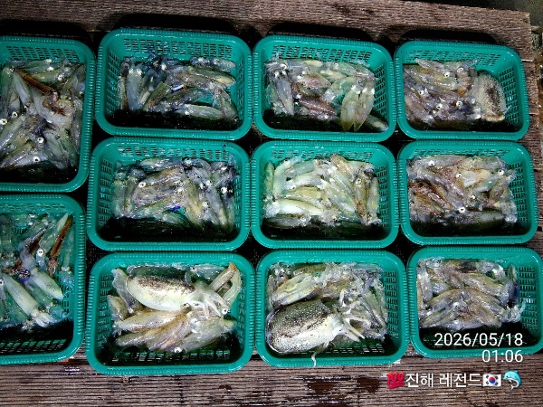 C85FACD4-445D-4163-AC93-328D51440D41.jpeg