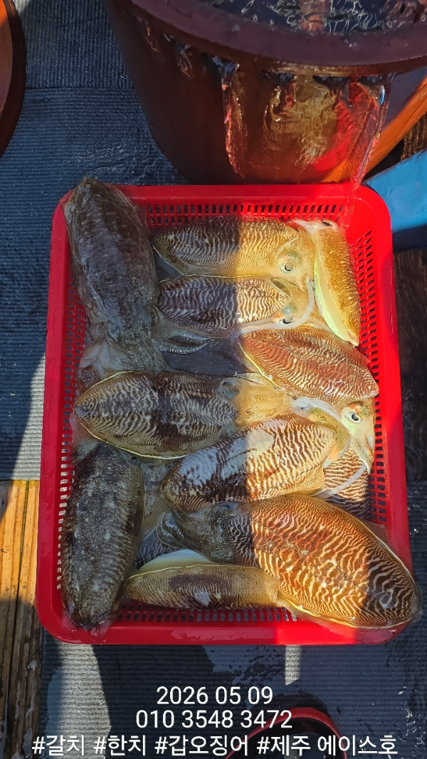 KakaoTalk_20260510_115203567_03.jpg