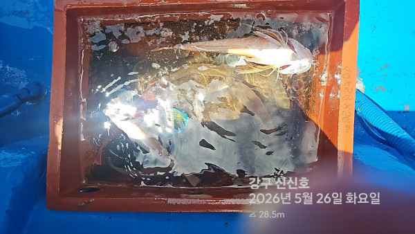 신신낚시 강구점 신신호_사진_20260526_17.jpg