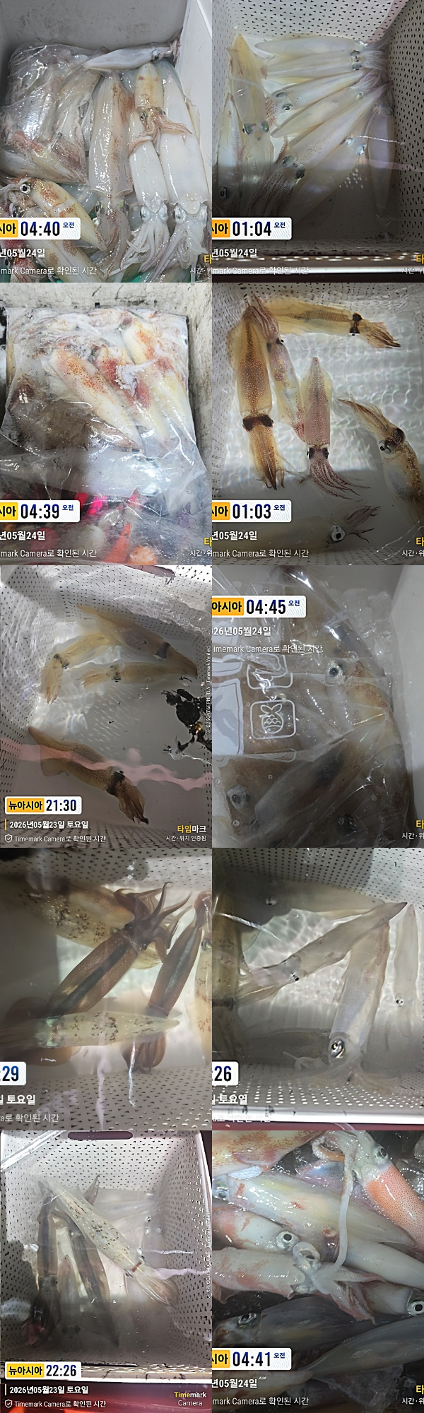 KakaoTalk_20260524_081342253_19-tile.jpg
