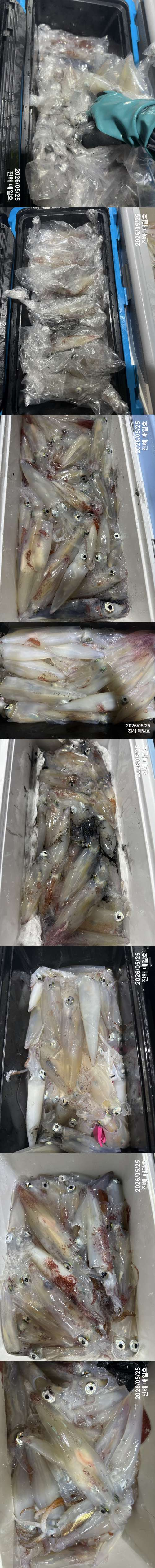 왕한치3.jpg