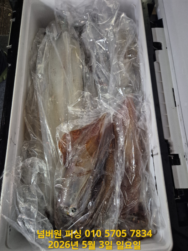KakaoTalk_20260507_114718576_03.jpg