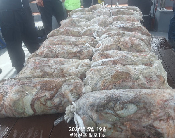 1000164320.jpg