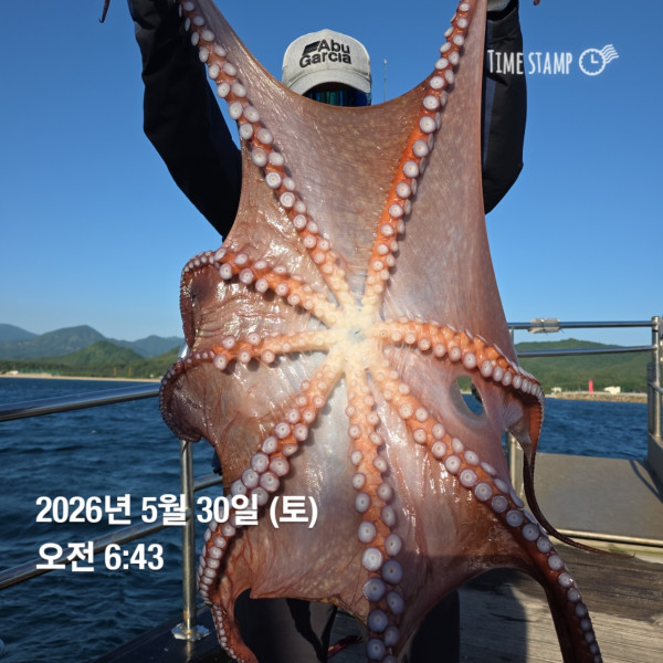 공현진낚시마트(돌핀호)_사진_20260530_7.jpg