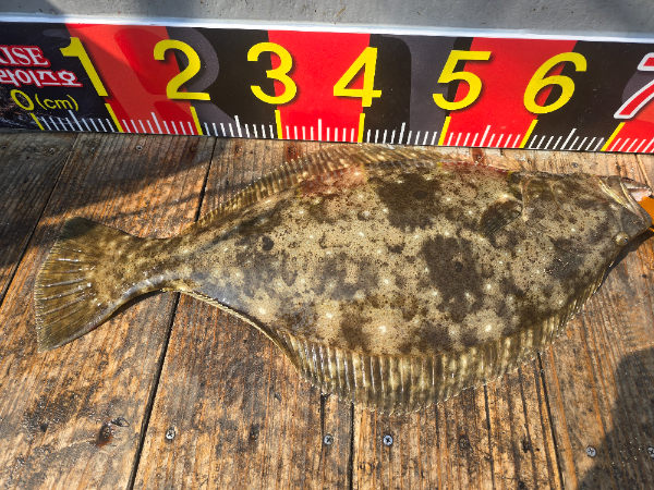 20260523_160803.jpg