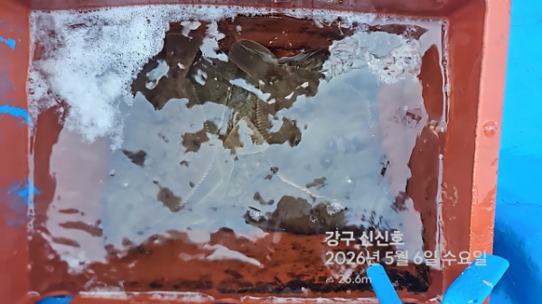 신신낚시 강구점 신신호_사진_20260506_15.jpg