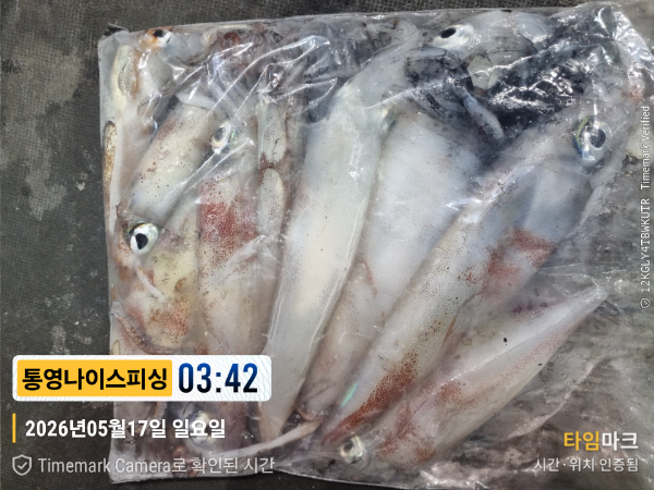 2026-05-17 03.42.02__(제목-통영나이스피싱).jpg