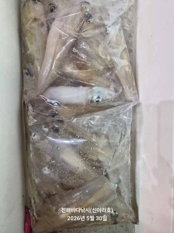 바다꾼낚시(신아라호)_사진_20260530_23.jpg
