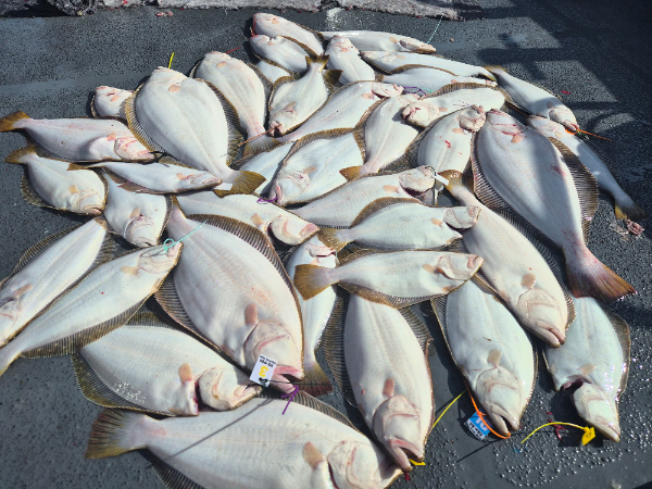 8936.jpg