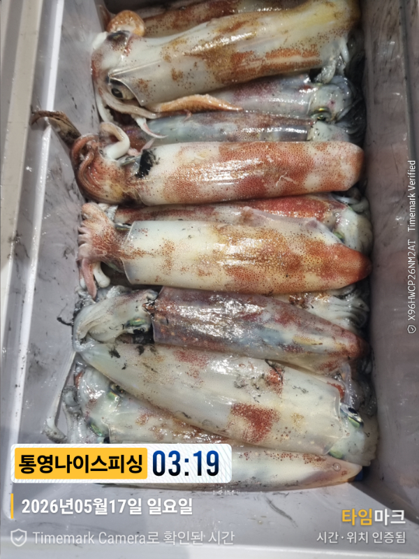 2026-05-17 03.19.55__(제목-통영나이스피싱).jpg