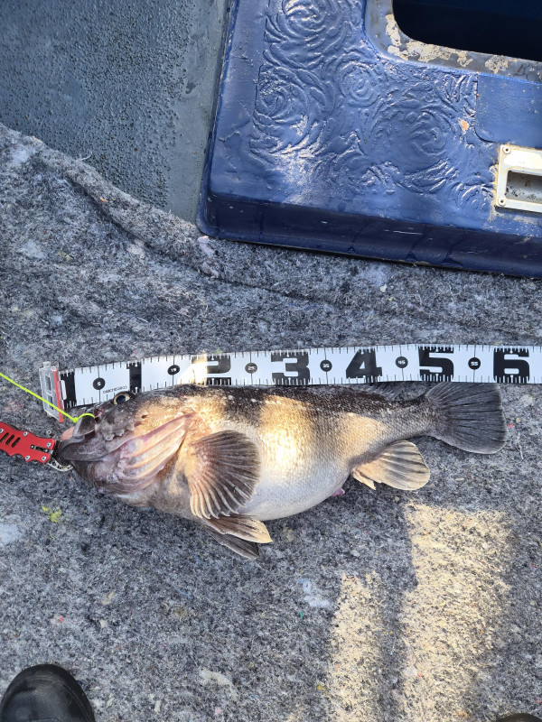 8906.jpg