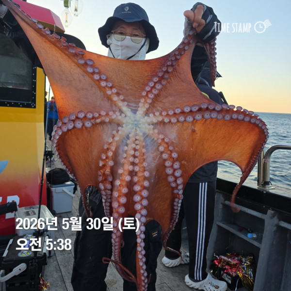 공현진낚시마트(돌핀호)_사진_20260530_8.jpg