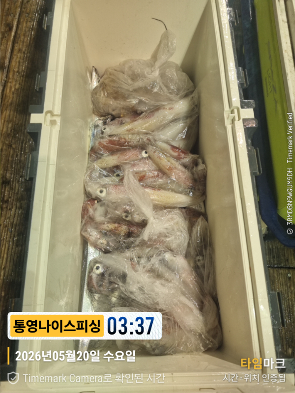 2026-05-20 03.37.26__(제목-통영나이스피싱).jpg