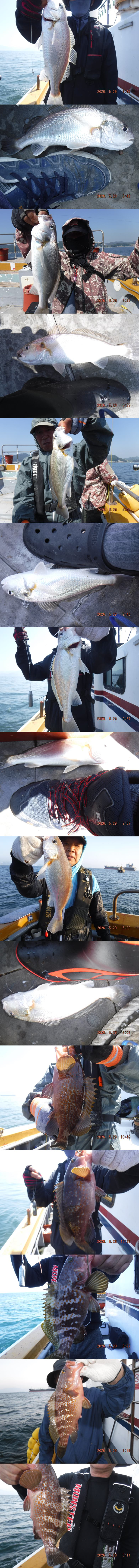 출조1426.jpg
