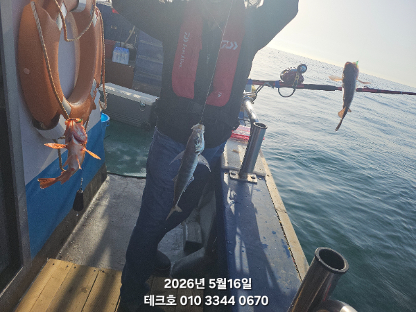 KakaoTalk_20260516_093230432_04.jpg