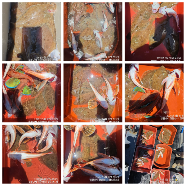 PhotoCollage_1780121709875.jpg