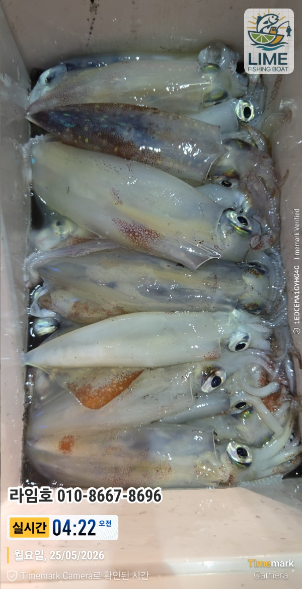 KakaoTalk_20260525_184839931_03.jpg