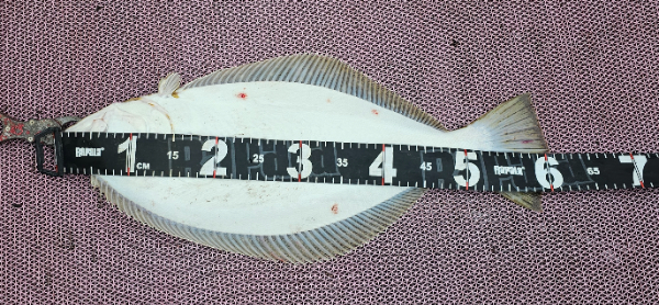 1000053964.jpg