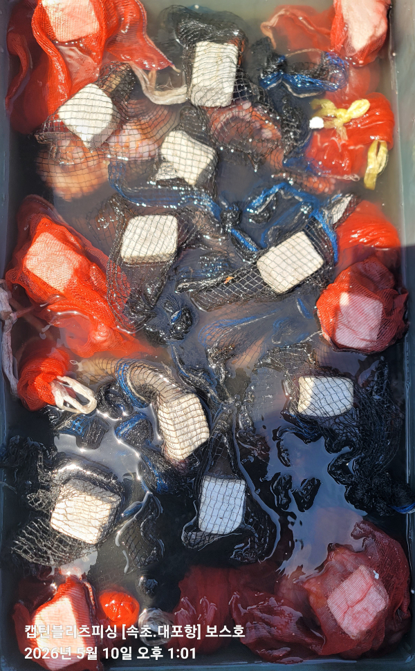 20260510_130135.jpg