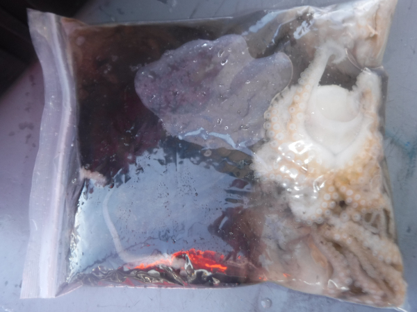 DSCF5695.JPG
