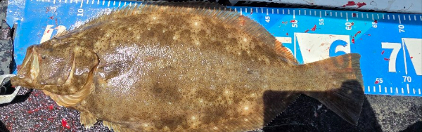 16208.jpg
