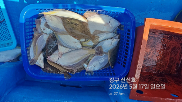 신신낚시 강구점 신신호_사진_20260517_15.jpg