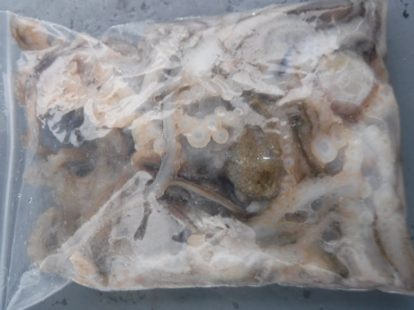 DSCF5760.JPG