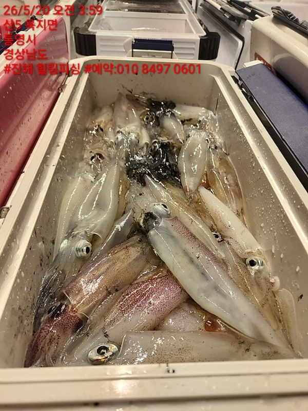 KakaoTalk_20260521_174339986_11.jpg