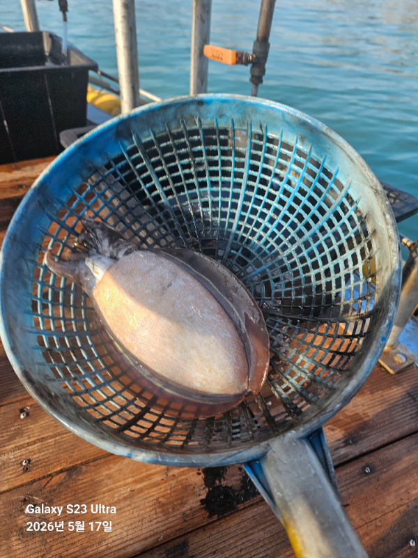 1000039005.jpg