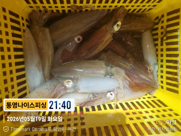 2026-05-19 21.40.46__(제목-통영나이스피싱).jpg