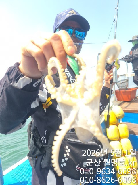 5193.jpg