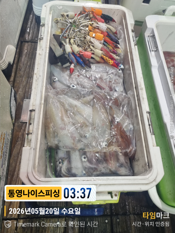 2026-05-20 03.37.29__(제목-통영나이스피싱).jpg