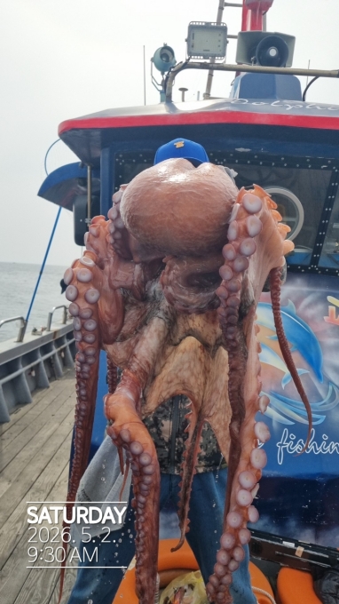 [크기변환]공현진낚시마트(돌핀호)_사진_20260506_6.jpg