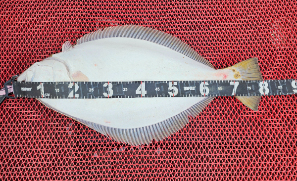 1000055204.jpg