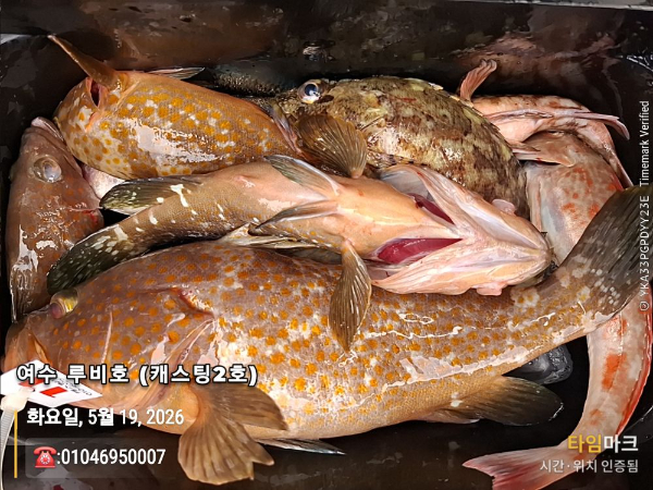 KakaoTalk_20260519_175321194_01.jpg