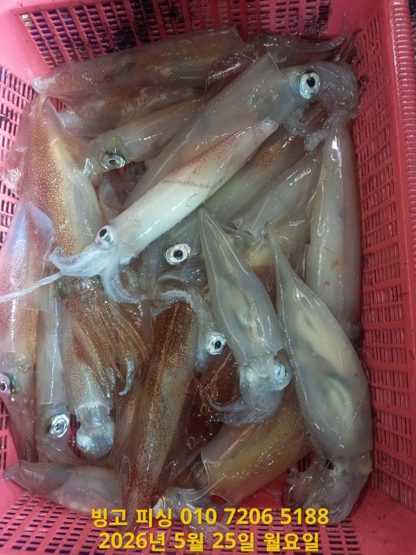 KakaoTalk_20260525_152641016_08.jpg