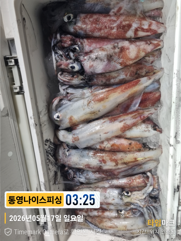 2026-05-17 03.25.53__(제목-통영나이스피싱).jpg