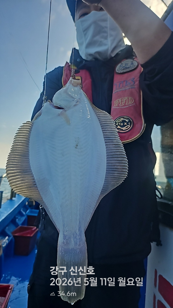 신신낚시 강구점 신신호_사진_20260511_5.jpg