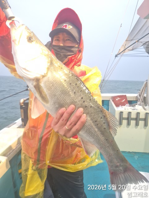 KakaoTalk_20260520_125935234_01.jpg