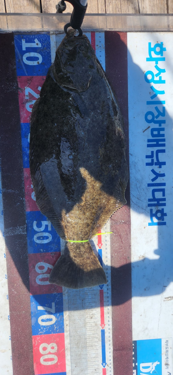 1780134284186.jpg