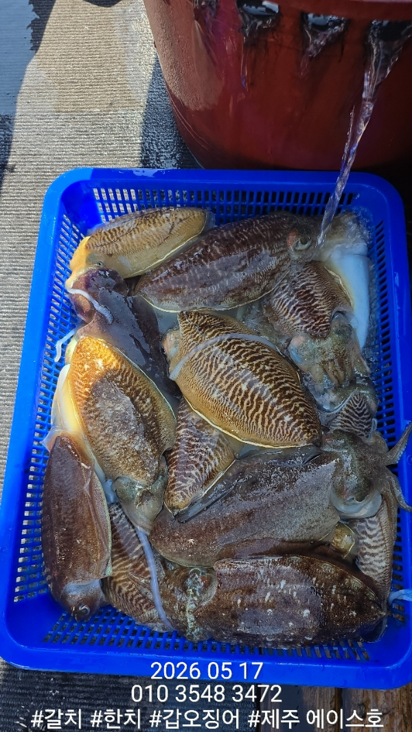 KakaoTalk_20260517_194920443_04.jpg