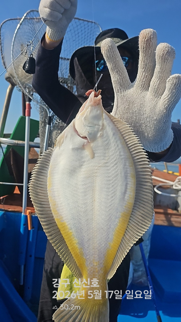 신신낚시 강구점 신신호_사진_20260517_3.jpg