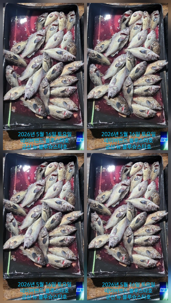 1000045430.jpg