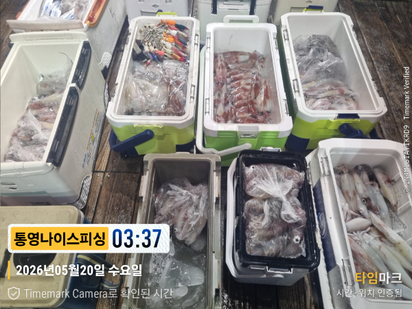2026-05-20 03.37.49__(제목-통영나이스피싱).jpg