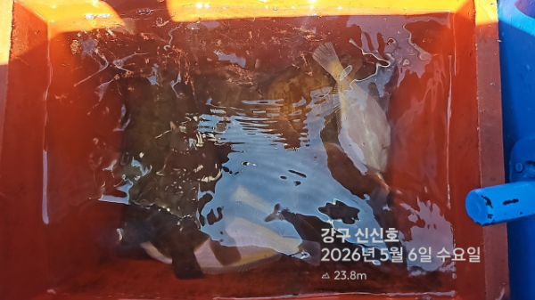 신신낚시 강구점 신신호_사진_20260506_19.jpg