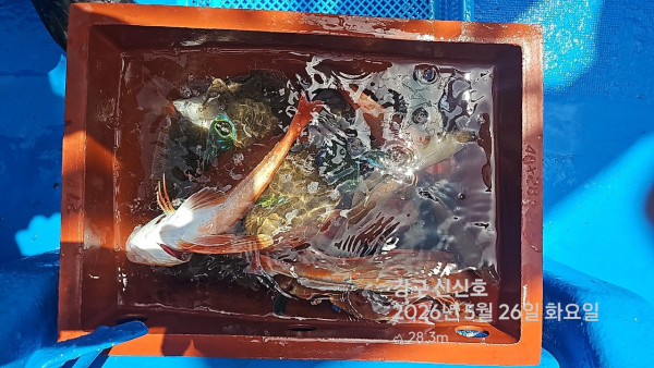 신신낚시 강구점 신신호_사진_20260526_14.jpg