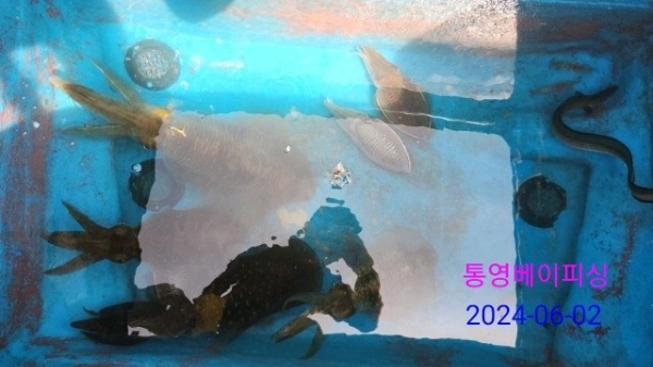 1000105902.jpg